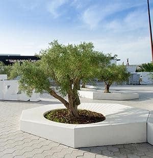 Custom Planter/Bench DKY842